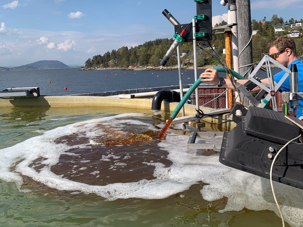 Addition of lingin to the outdoor tank at Solbergstrand. Photo: Sabine Marty, NIVA