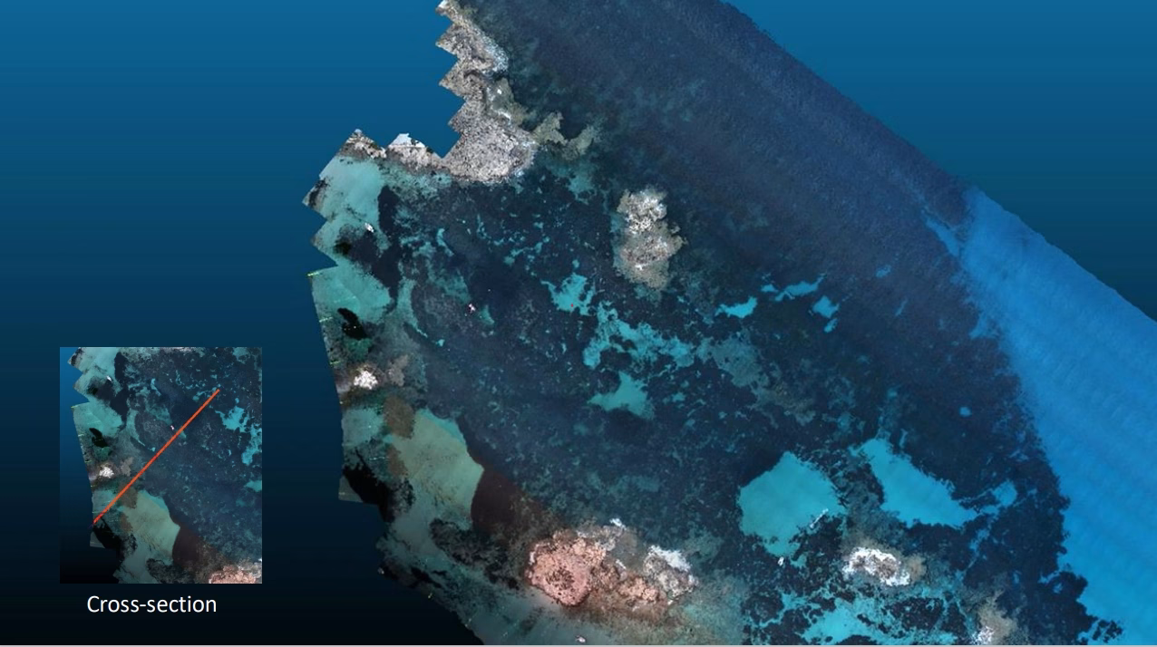 Lidar data