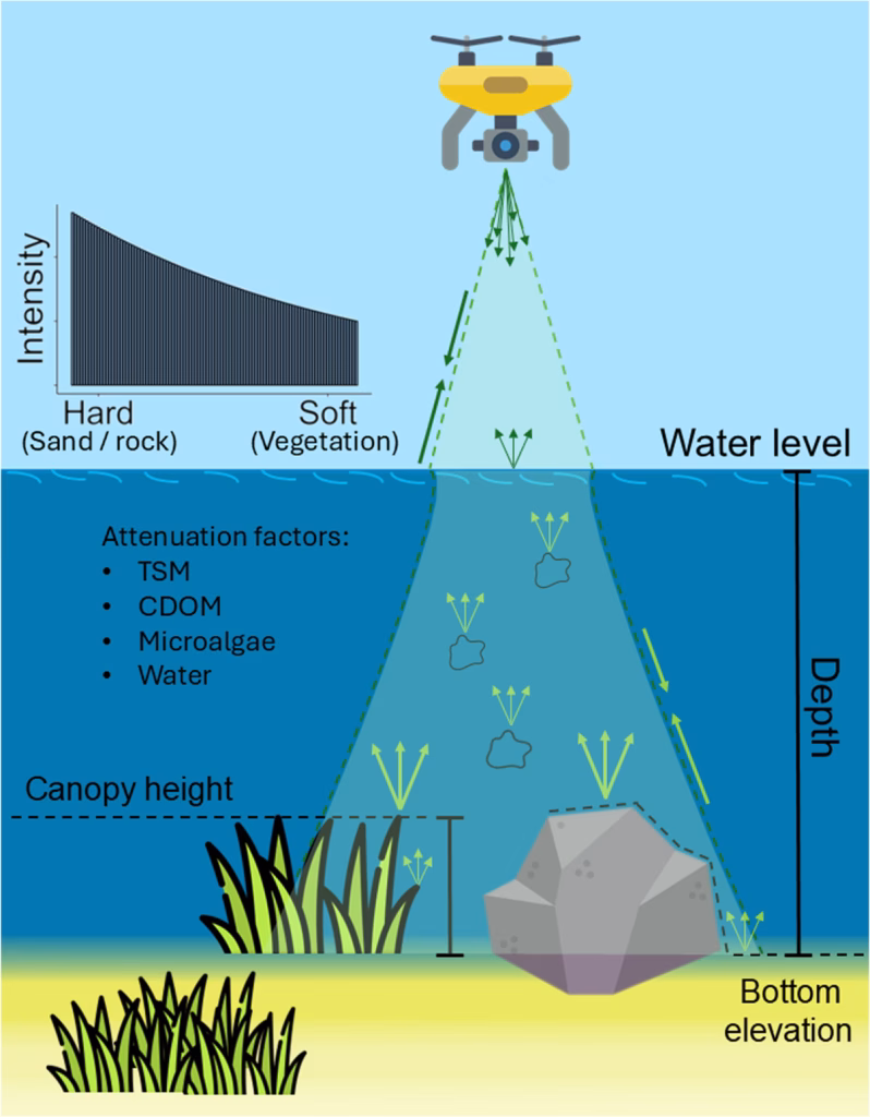 Schematic of drone-borne LiDAR system. 